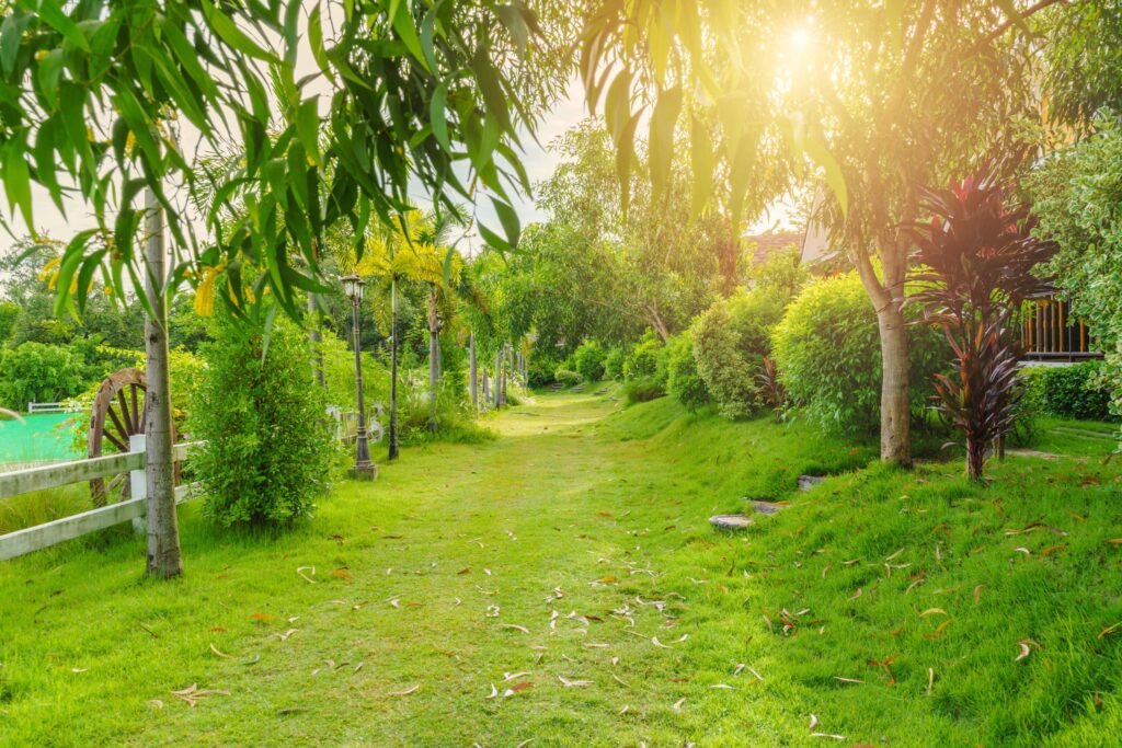 beautiful green garden free photo